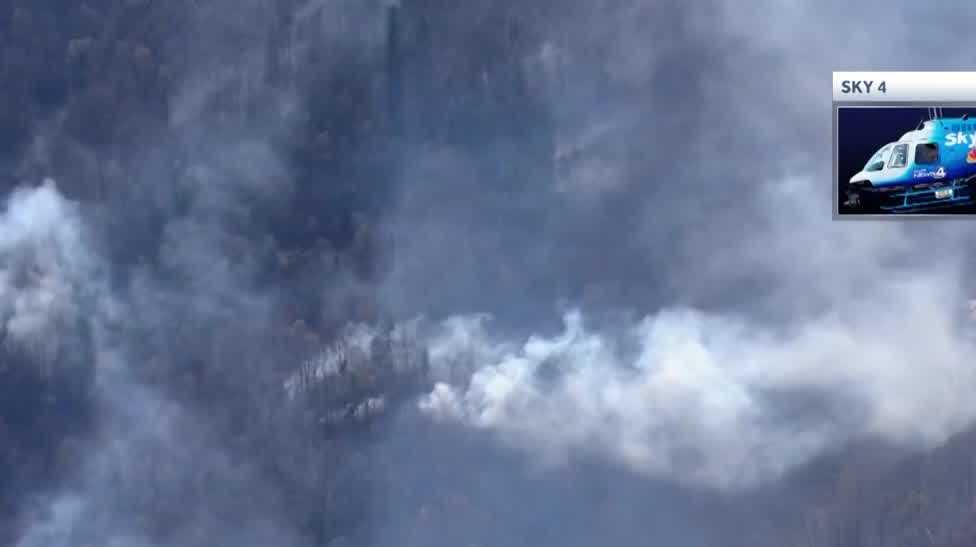専門家は、カロライナの山火事が野生生物に影響を与えると言います