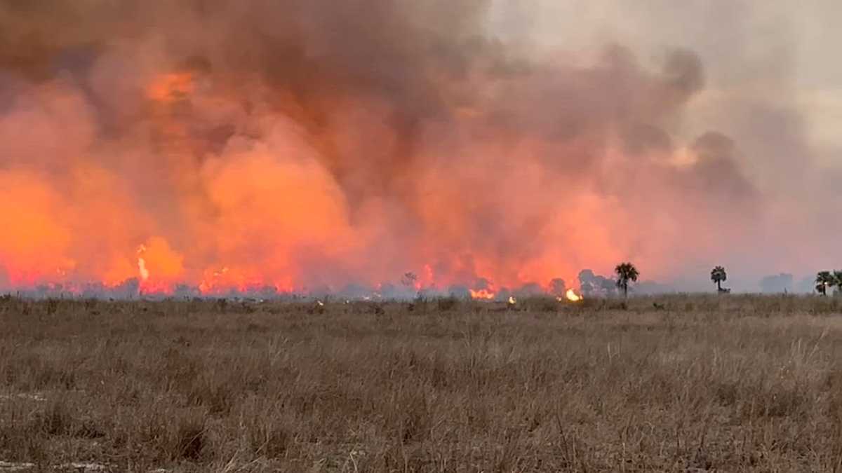 Lightning sparks 160-acre brush fire off Bermont Road in Charlotte County
