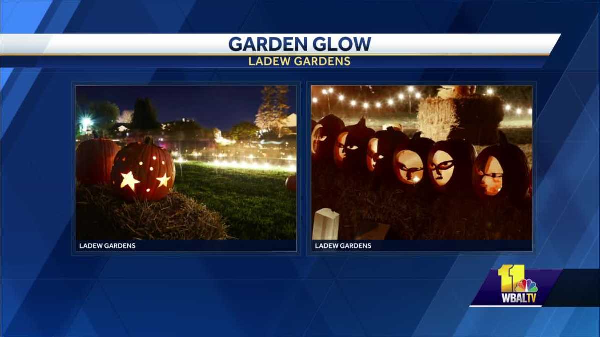 Ladew Gardens hosts Garden Glow Halloween celebration