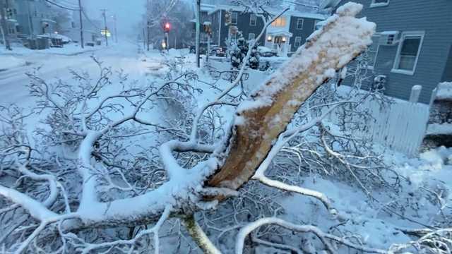 This part of Mass. received up to 18 inches of snow from nor'easter - Vimarsana News