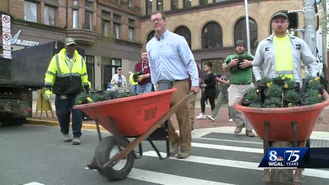 Volunteers help relandscape York City Continental Square - Vimarsana News