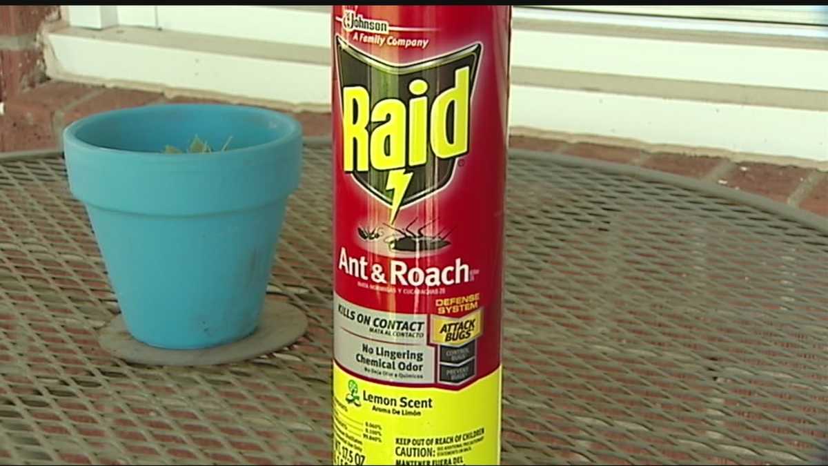 Bug spray can send ants into frenzy, expert says