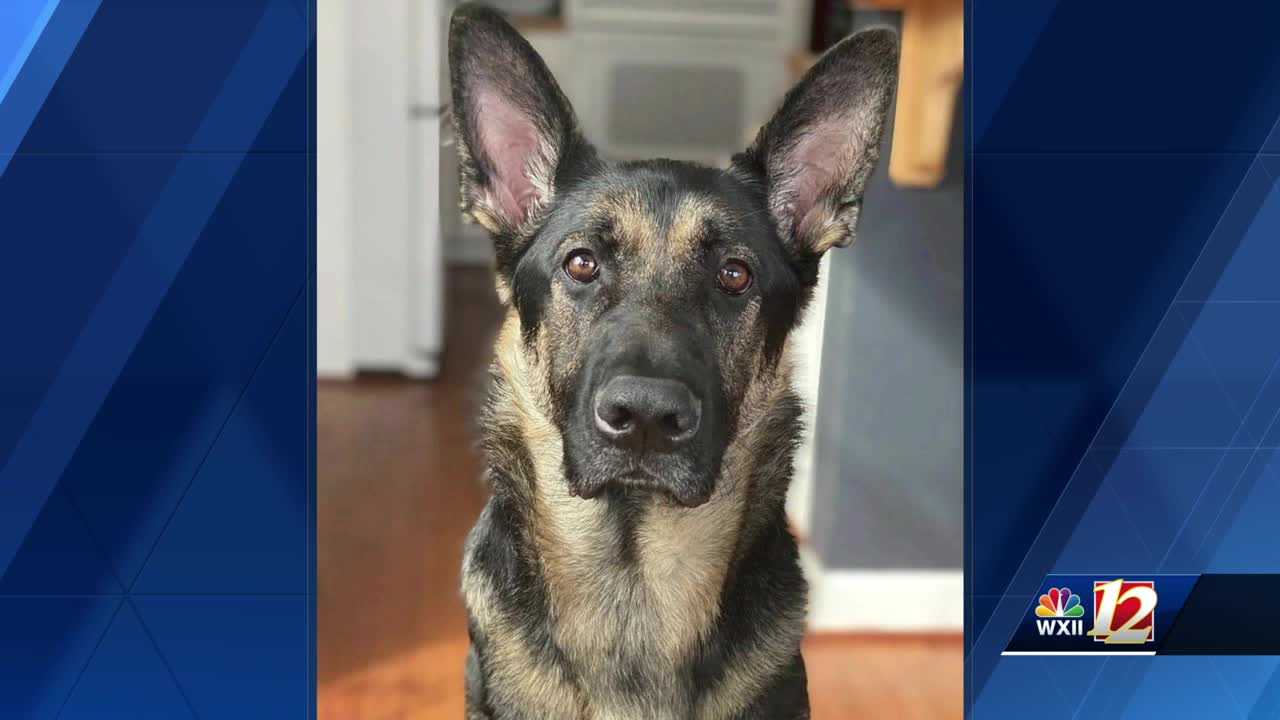 Man demands answers following shooting death of his service dog