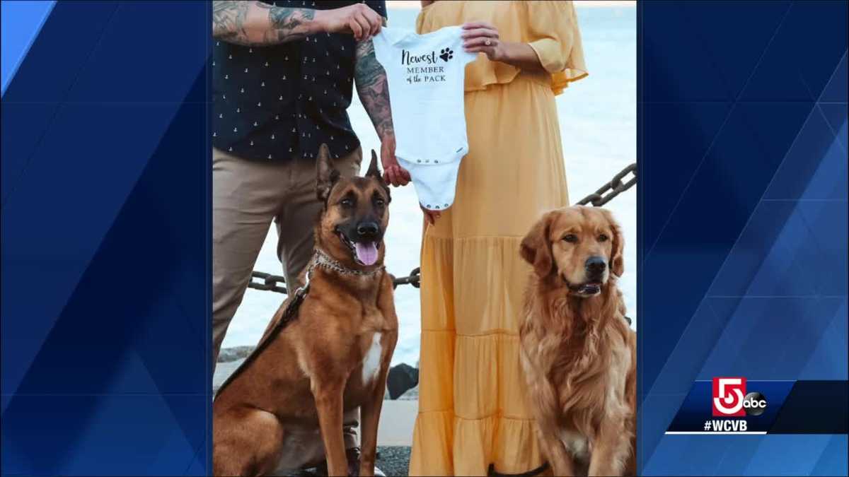 Baby on the way! Congrats to WCVB's Traffic Reporter Katie Thompson