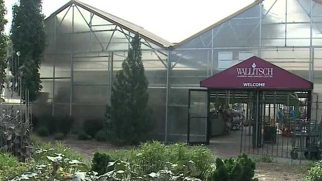 Here's how to protect your outdoor plants from colder temperatures - Vimarsana News