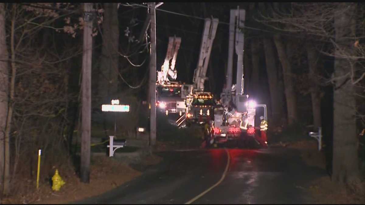 Winds bring down trees, utility lines