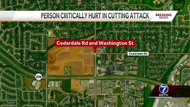 One person critically injured in Papillion cutting attack - Vimarsana News