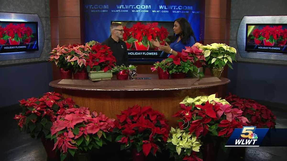 Bell Nursery is here with tips on how to keep things beautiful this
