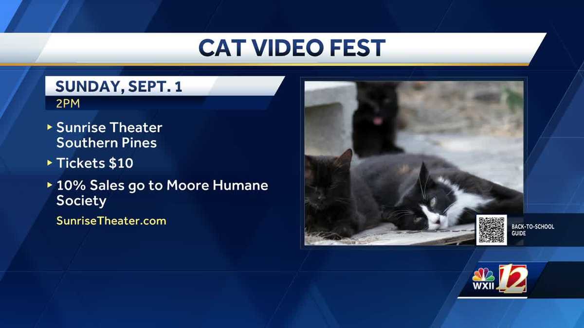 The Sunrise Theater hosts the Cat Video Fest