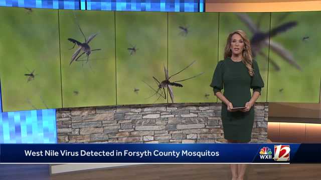 NC: West Nile virus detected in Forsyth County - Vimarsana News