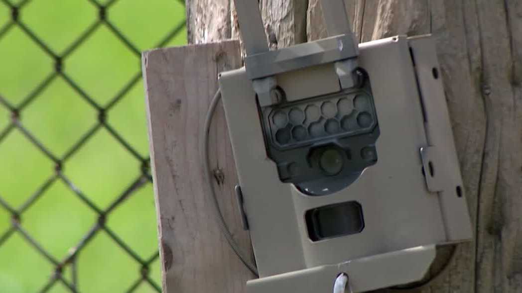 Milwaukee expands hidden camera network to fight illegal dumping
