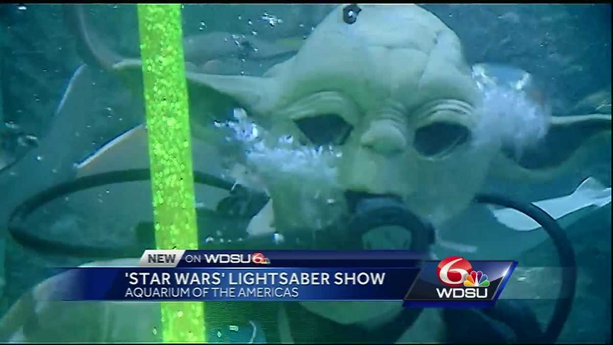 ICYMI This underwater lightsaber battle at Audubon Aquarium!