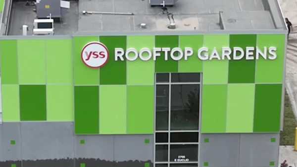 growing opportunities: yss opens rooftop gardens to help youth at-risk of homelessness succeed