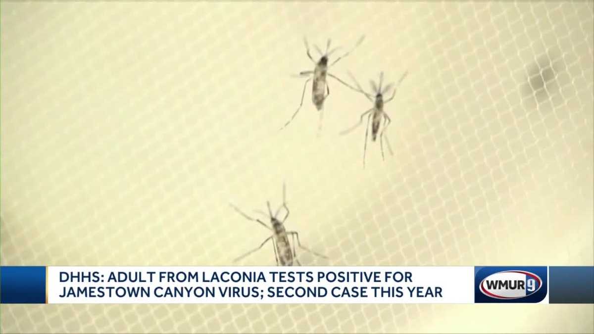 DHHS: Laconia adult tests positive for Jamestown Canyon virus