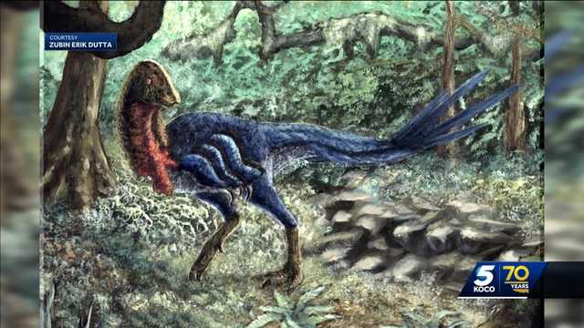 University student names dinosaur he discovered after pet lizard - Vimarsana News
