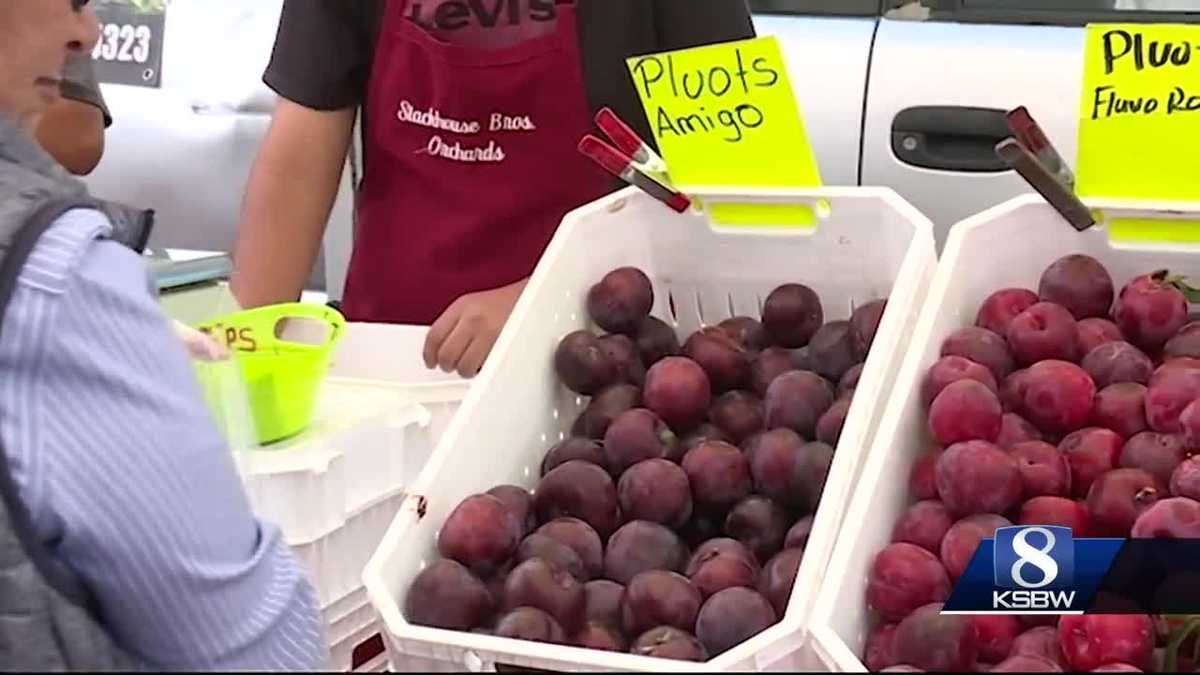 Local doctors create, prescribe fresh produce prescription program for