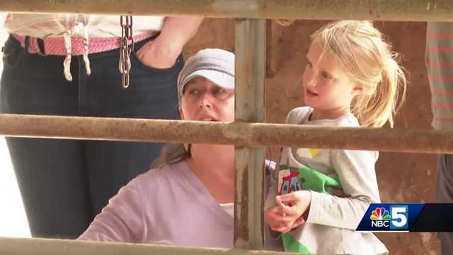 Breakfast on the Farm welcomes 2,000 people to Addison, Vermont - Vimarsana News