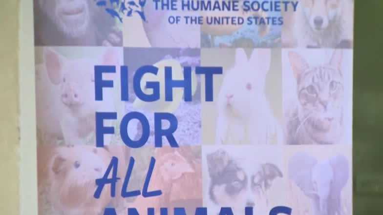 Animal advocates rally in Sacramento