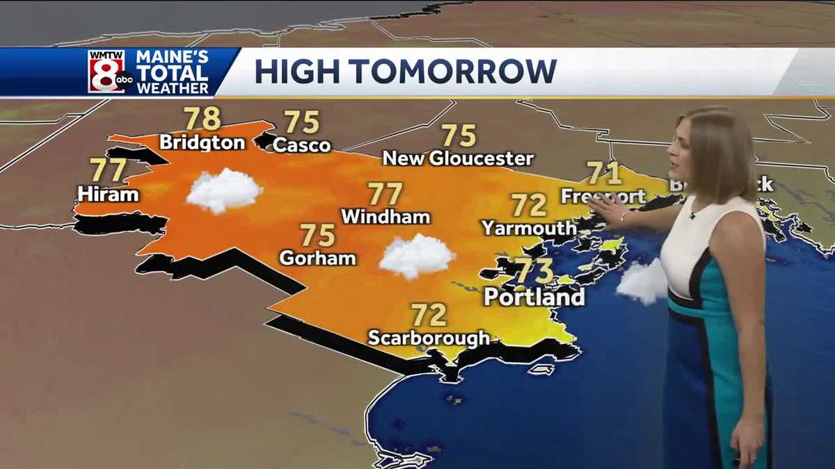 Patchy fog and a few showers this morning