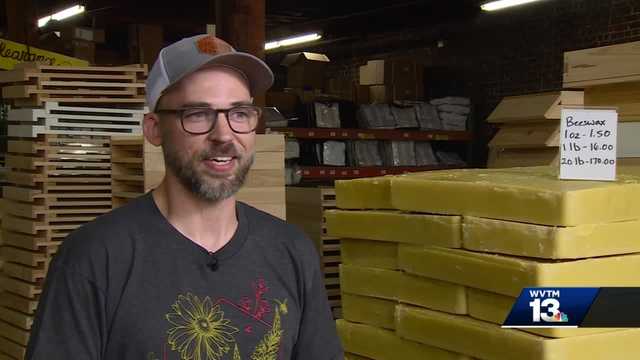 WVTM 13 Chronicle: Foxhound Bee Company - Vimarsana News
