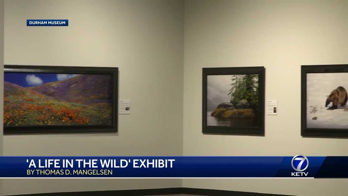 Durham activities for kids on break