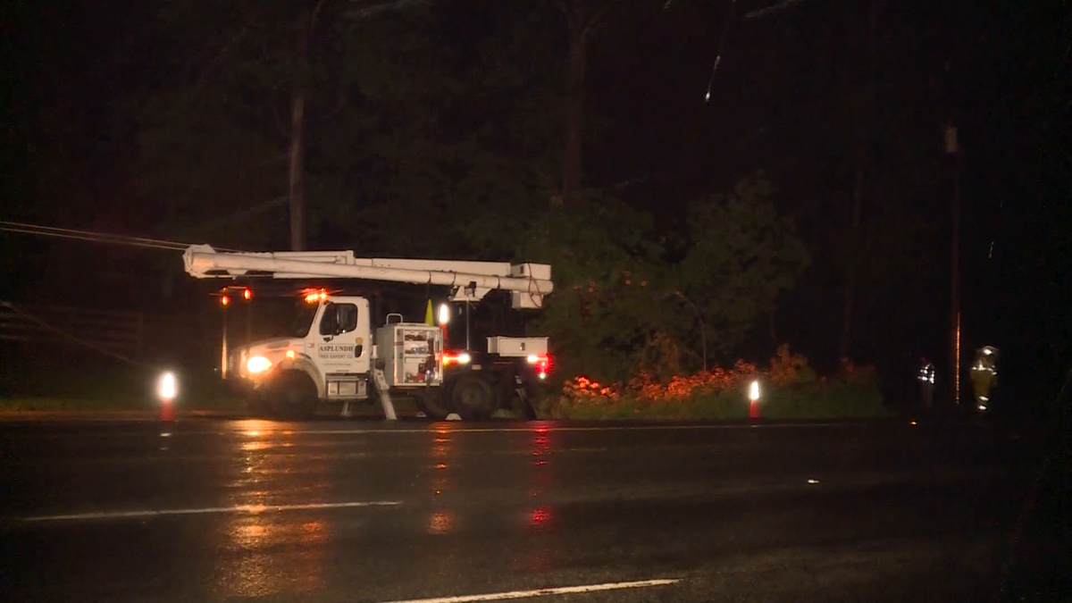 Heavy rain leads to downed trees, power outages