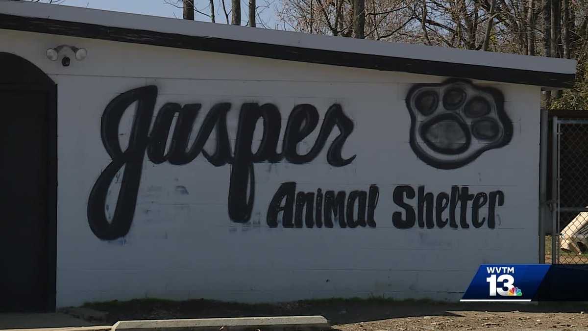 Outbreak forces Jasper Animal Shelter to euthanize 2025 dogs