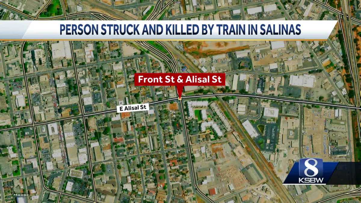 Pedestrian struck and killed by train in California