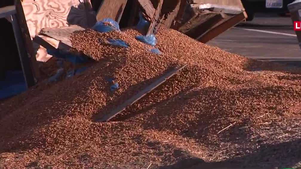 Big rig spills almonds onto Highway 99 near Lodi after crash - KCRA