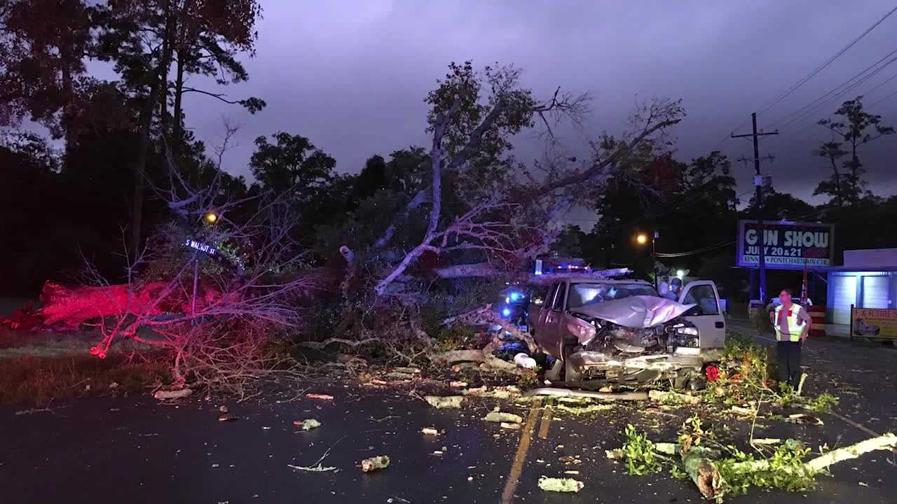 Slidell Man Narrowly Escapes Serious Injury After Tree Falls On Truck