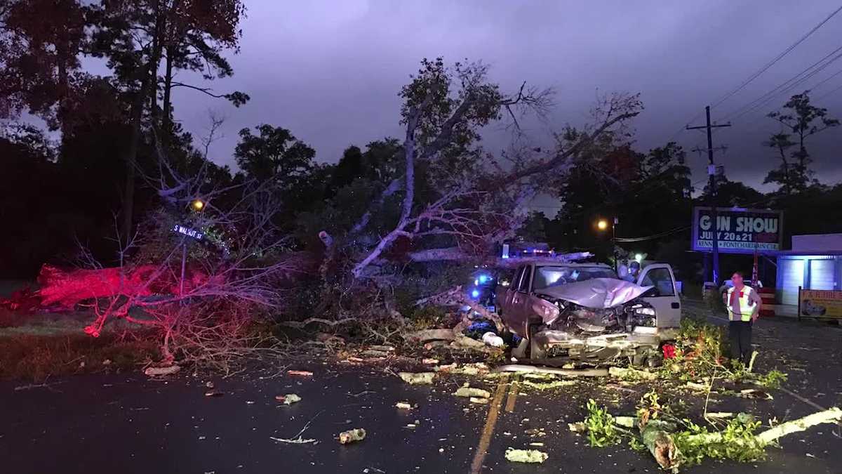 Slidell man narrowly escapes serious injury after tree falls on truck