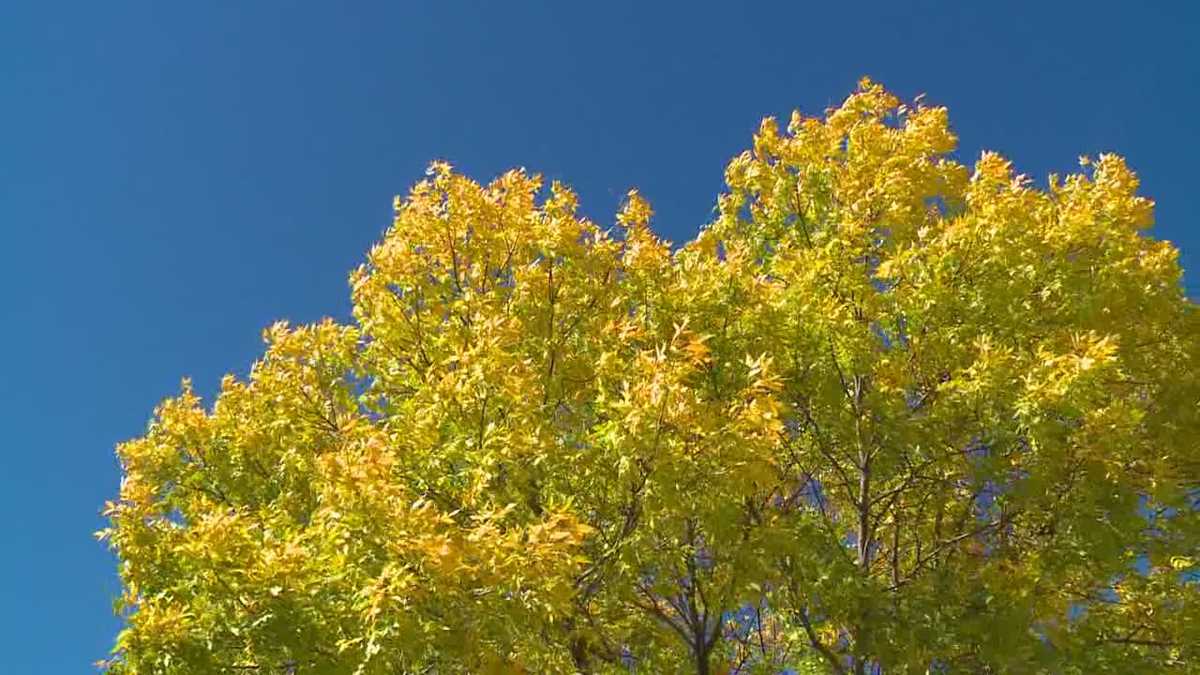 Closer look at fall colors across Iowa