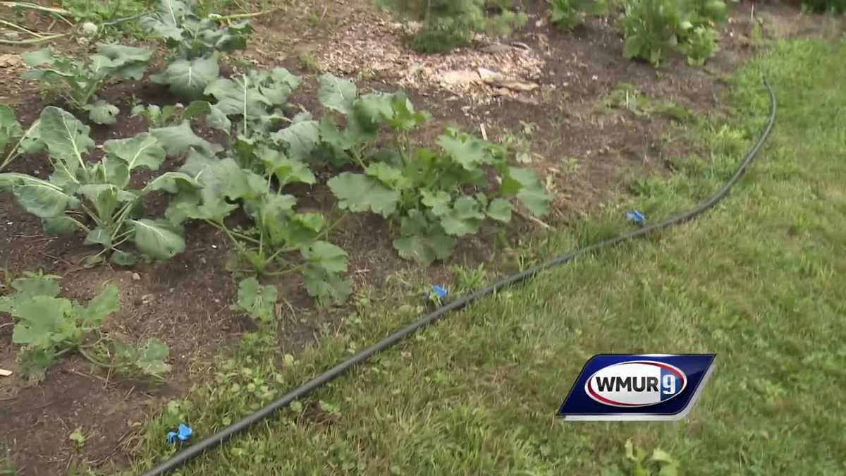 Grow it Green Drip irrigation
