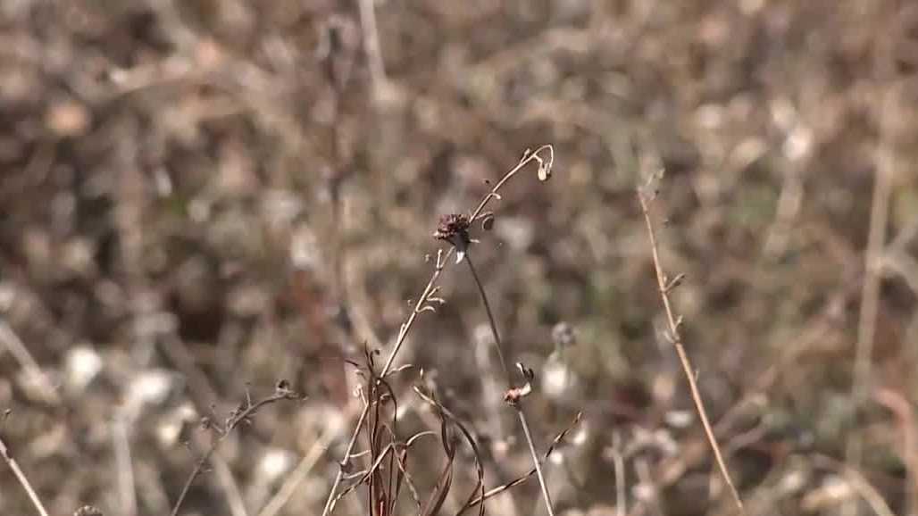 High fire danger prompts caution on Treasure Coast
