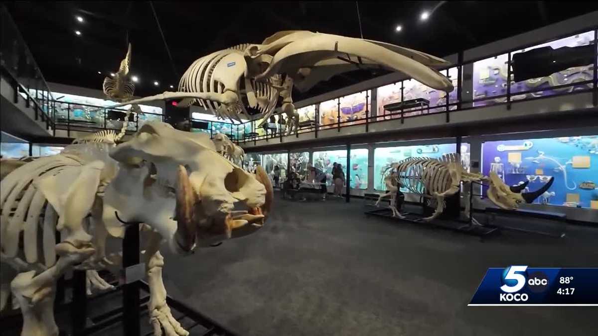 Oklahoma City museum offers hands-on learning with skeletons