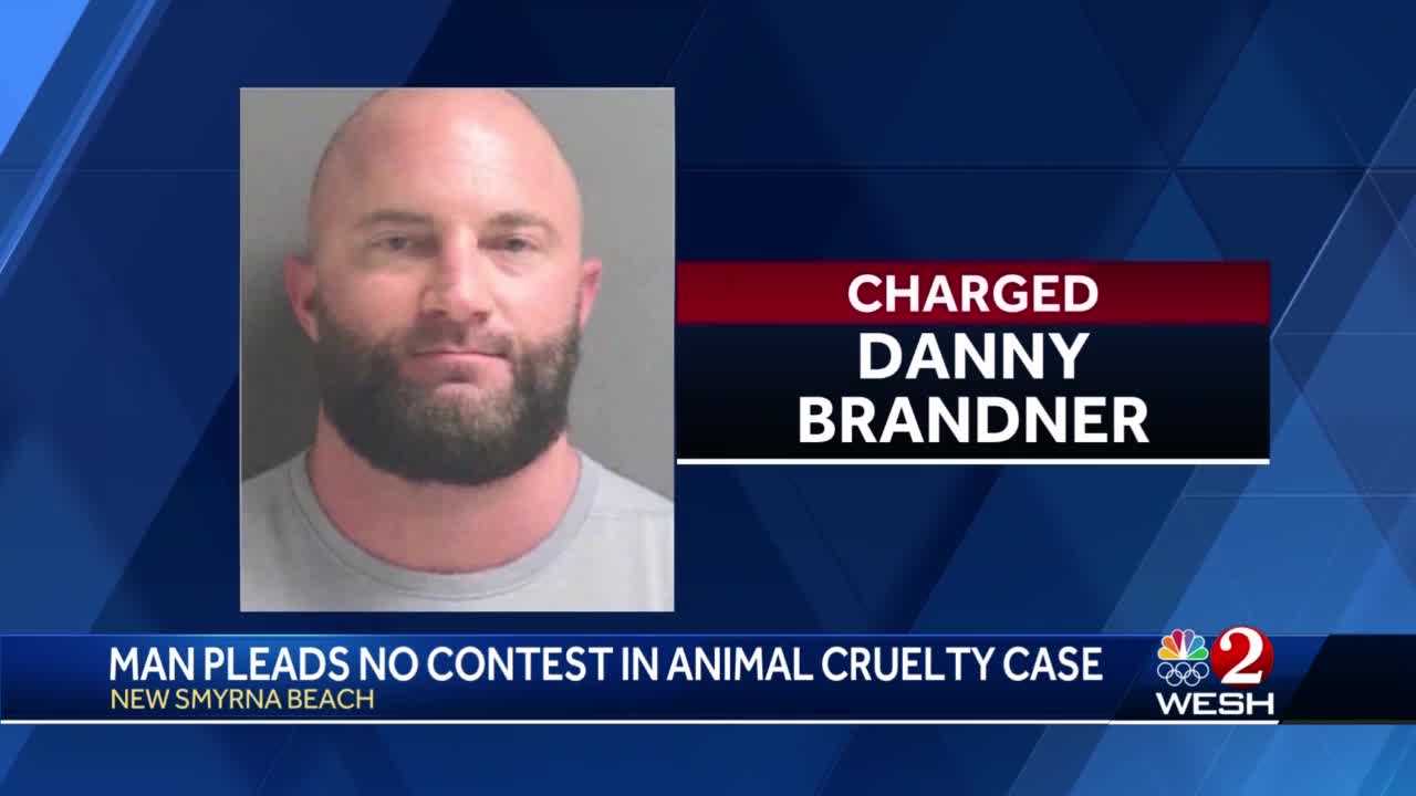 New Smyrna Beach Man Pleads No Contest In Animal Cruelty Case