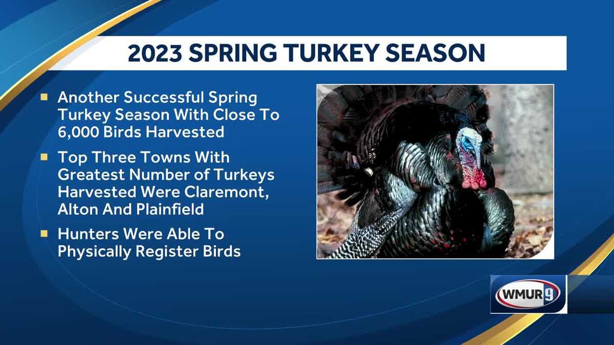 2023 marks fifth year of spring turkey season surpassing 5,000 birds