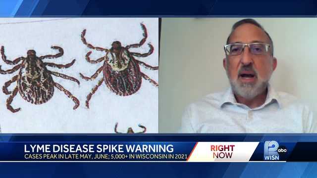 Lyme Disease Spike Warning - Vimarsana News