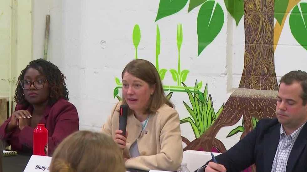 Democratic candidates for Vermont Lt. Gov push for nomination one month before primary