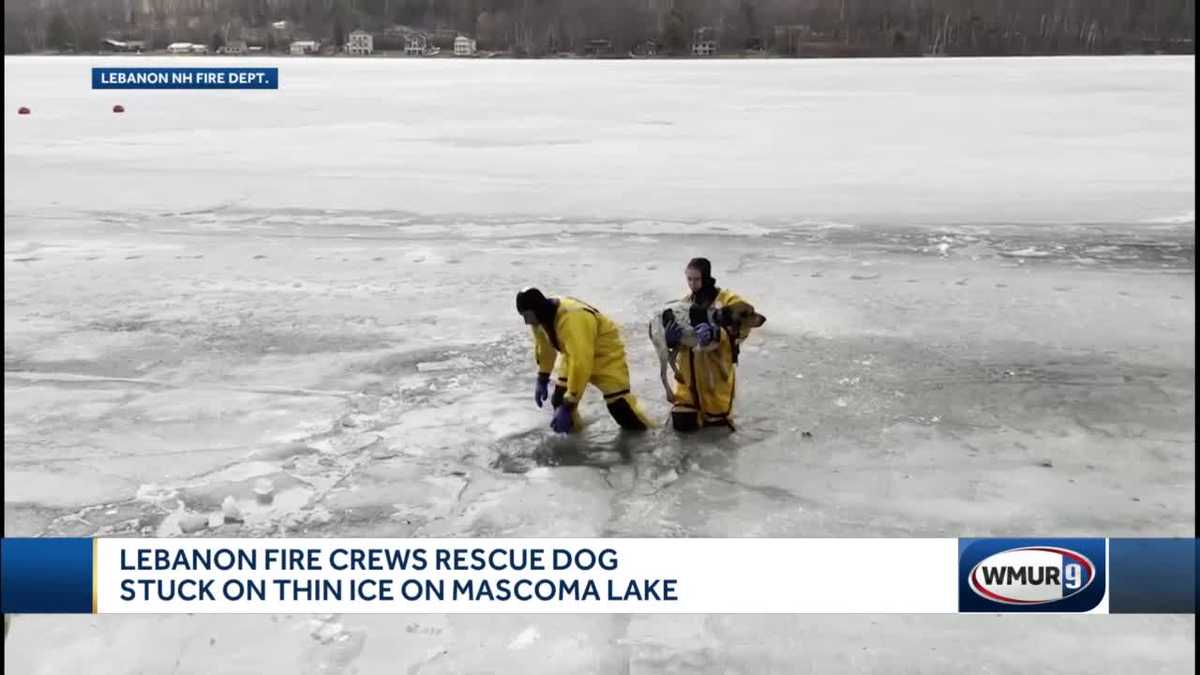 Dog stuck on thin ice rescued by Lebanon firefighters