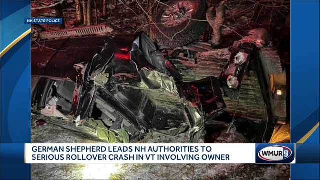 Dog alerts New Hampshire police after owner's crash - Vimarsana News
