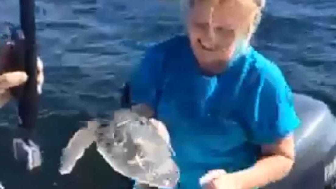 Web Extra: Sea turtle released into Gulf of Mexico