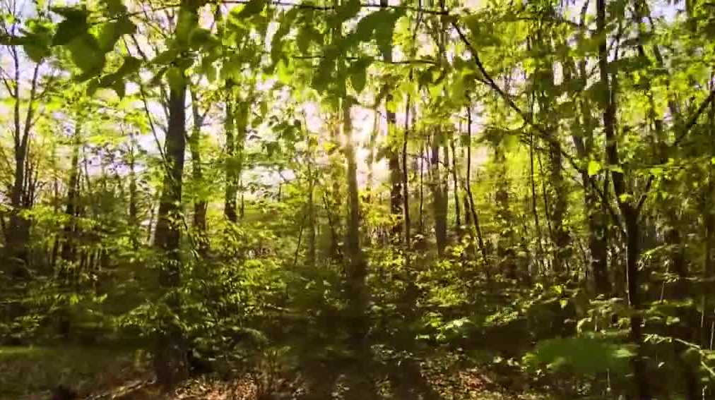 Climate change affecting New Hampshire's seasons