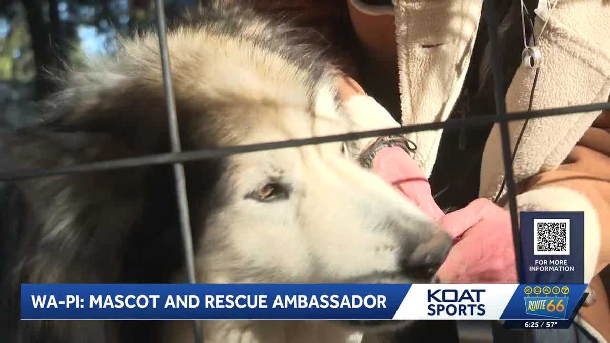 Wa-Pi: Ice Wolves' mascot with a heart for rescue