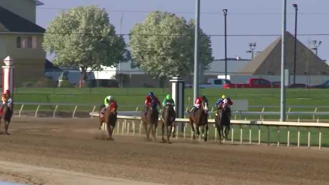 Iowa racehorse tests positive for meth - Vimarsana News