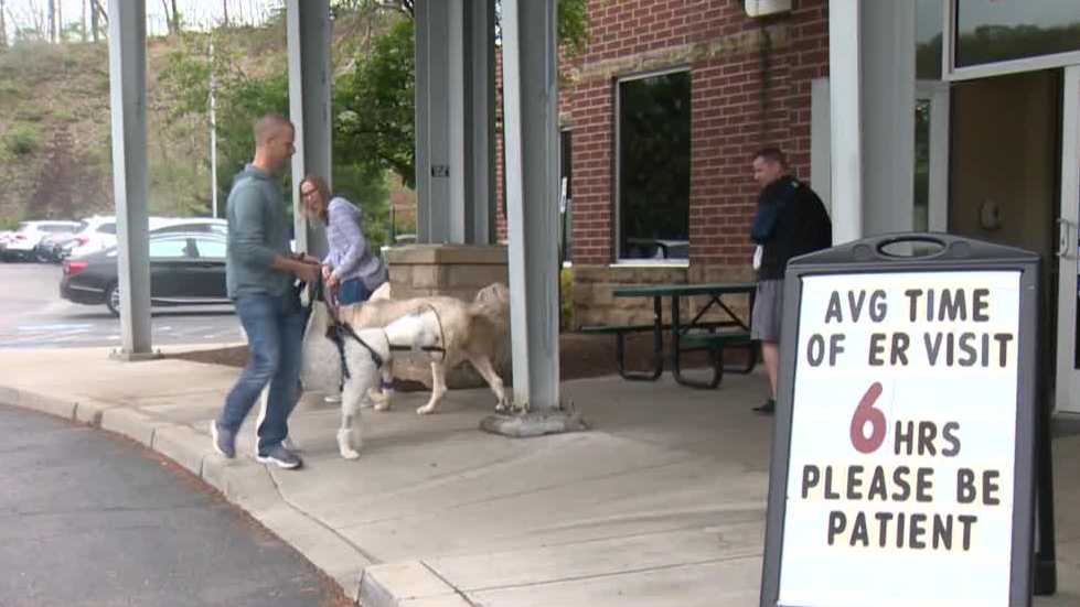 Families wait hours for emergency pet care