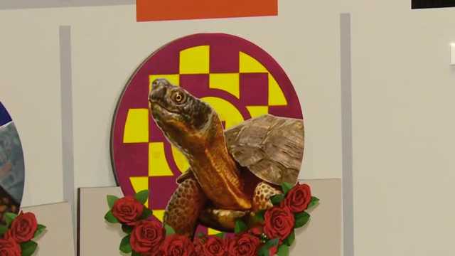 Old Forester bringing back 3rd annual Kentucky Turtle Derby - Vimarsana News