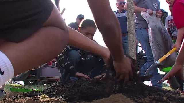 Volunteers pick up and plant this Earth Day - Vimarsana News