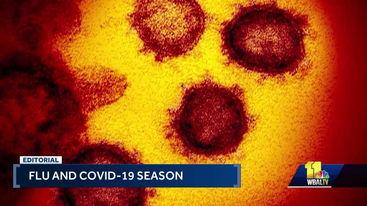 How to prepare for the 2024 flu, COVID19 season Editorial