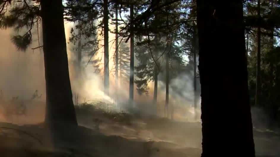 How prescribed burns helped save Pollock Pines from Caldor Fire